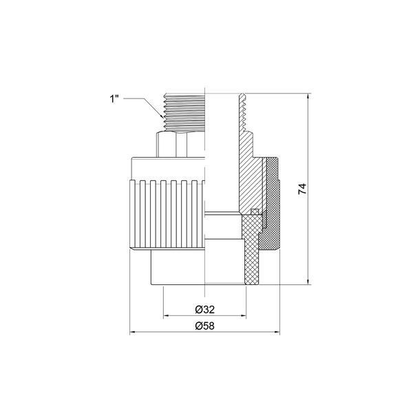 Муфта PPR Thermo Alliance 32х1" ЗР SD00029339 фото