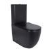 Унітаз підлоговий Qtap Robin Ultra Quiet безобідковий з сидінням Soft-Close MATT BLACK QT13226083AMB, компактний, з механічним зливом SD00052566 фото 1
