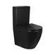 Унитаз-компакт Qtap Robin безободковый с сиденьем Soft-close QT13222141ARMB SD00042526 фото 1