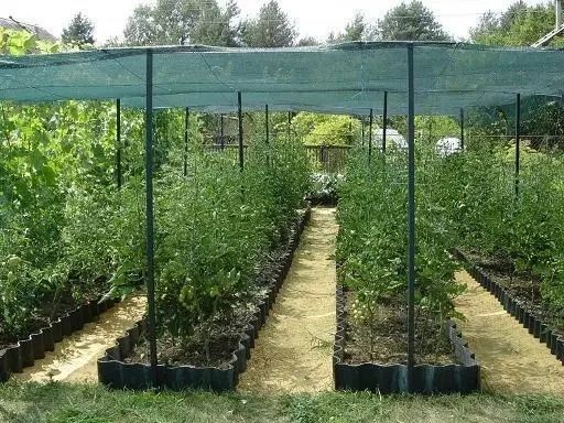 Сітка 80% 3м*3 м посилена, що затіняє, сітка для забору СЗППЛ00091 фото