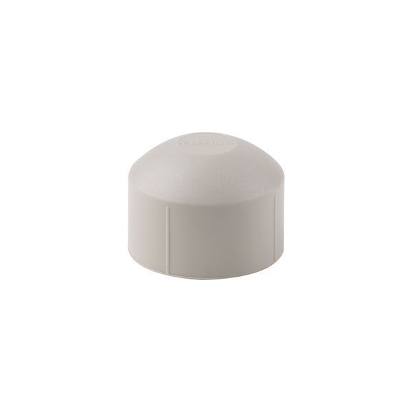 Заглушка PPR Thermo Alliance 32 SD00029206 фото