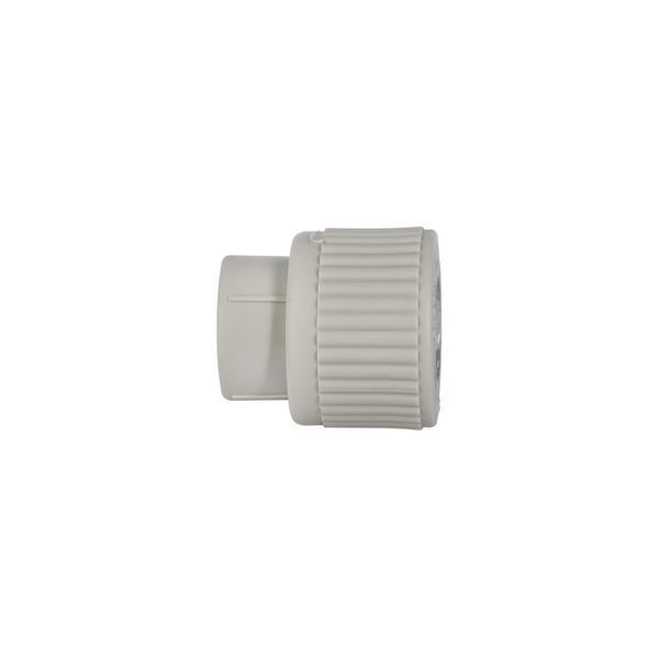 Муфта PPR Blue Ocean 20х1/2" ВР SD00006375 фото