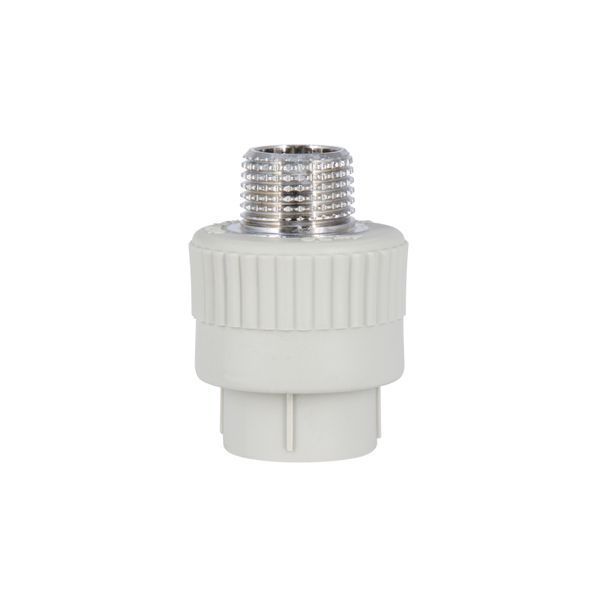 Муфта PPR Blue Ocean 20х1/2" ЗР SD00006376 фото