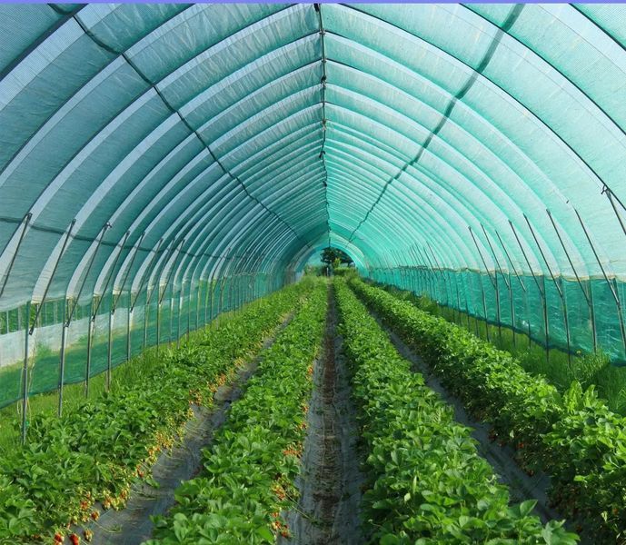 Сетка затеняющая 60%*3м*50м Рулон темно-зеленая Agrimpex 72-603 фото