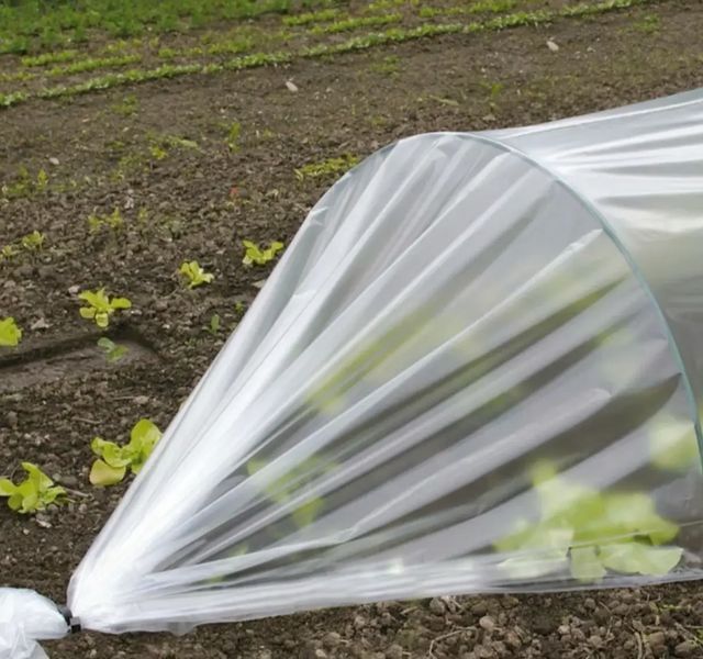 Плівка 150 мкм поліетиленова біла 6х50 м UV stab для укриття парників та теплиць АППБ0004 фото