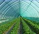Сетка затеняющая 80%*3м*50м Рулон темно-зеленая Agrimpex 72-803 фото 5