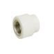 Муфта PPR Blue Ocean 25х1/2" ВР SD00006380 фото 1