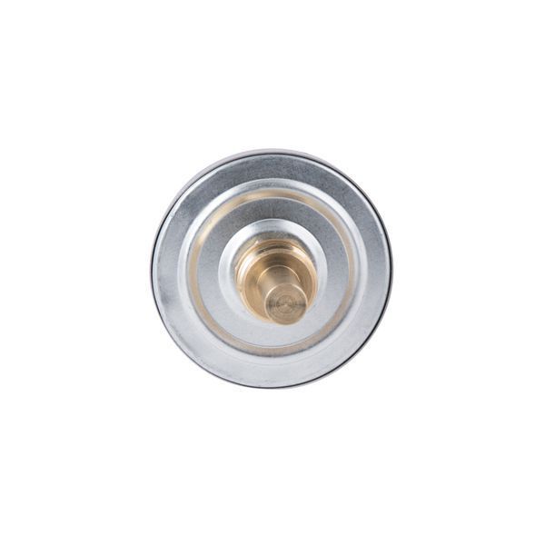 Термометр SD Plus 120&ordm;C 63 мм 1/2", заднє підключення SD17440MM, аксіальний, для неагресивних рідин SD00021365 фото