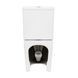 Унитаз-компакт Qtap Scorpio безободковый с сиденьем Soft-close QT14226002W SD00042527 фото 5