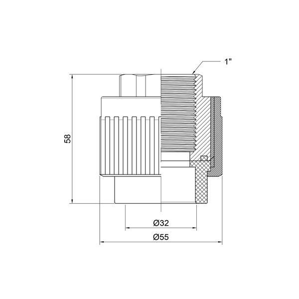 Муфта PPR Thermo Alliance 32х1" ВР SD00029332 фото